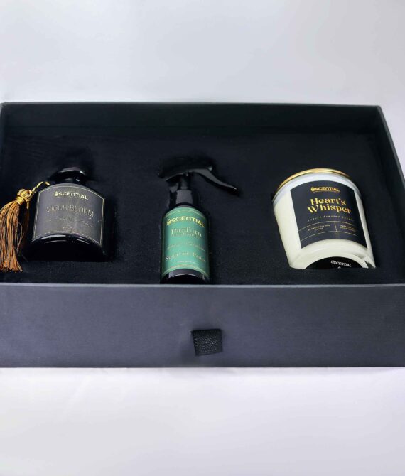 3 in 1 Gift Set